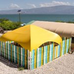 yellow canopy multi-color fence